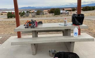 Wendy K.'s photo of camping with pets at Cochiti Recreation Area near Cochiti Lake, NM