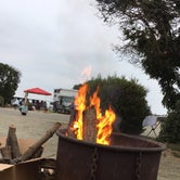 Review photo of San Elijo State Beach Campground by Lindsey W., September 3, 2017