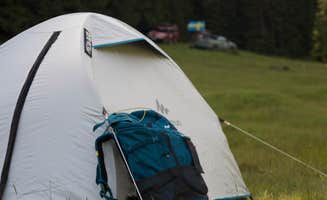 Jeanine B.'s photo at Talladega Pit Stop Campground near Jacksonville, AL