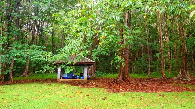 Camper submitted image from Kalopa State Rec Area - Hawaii - 2