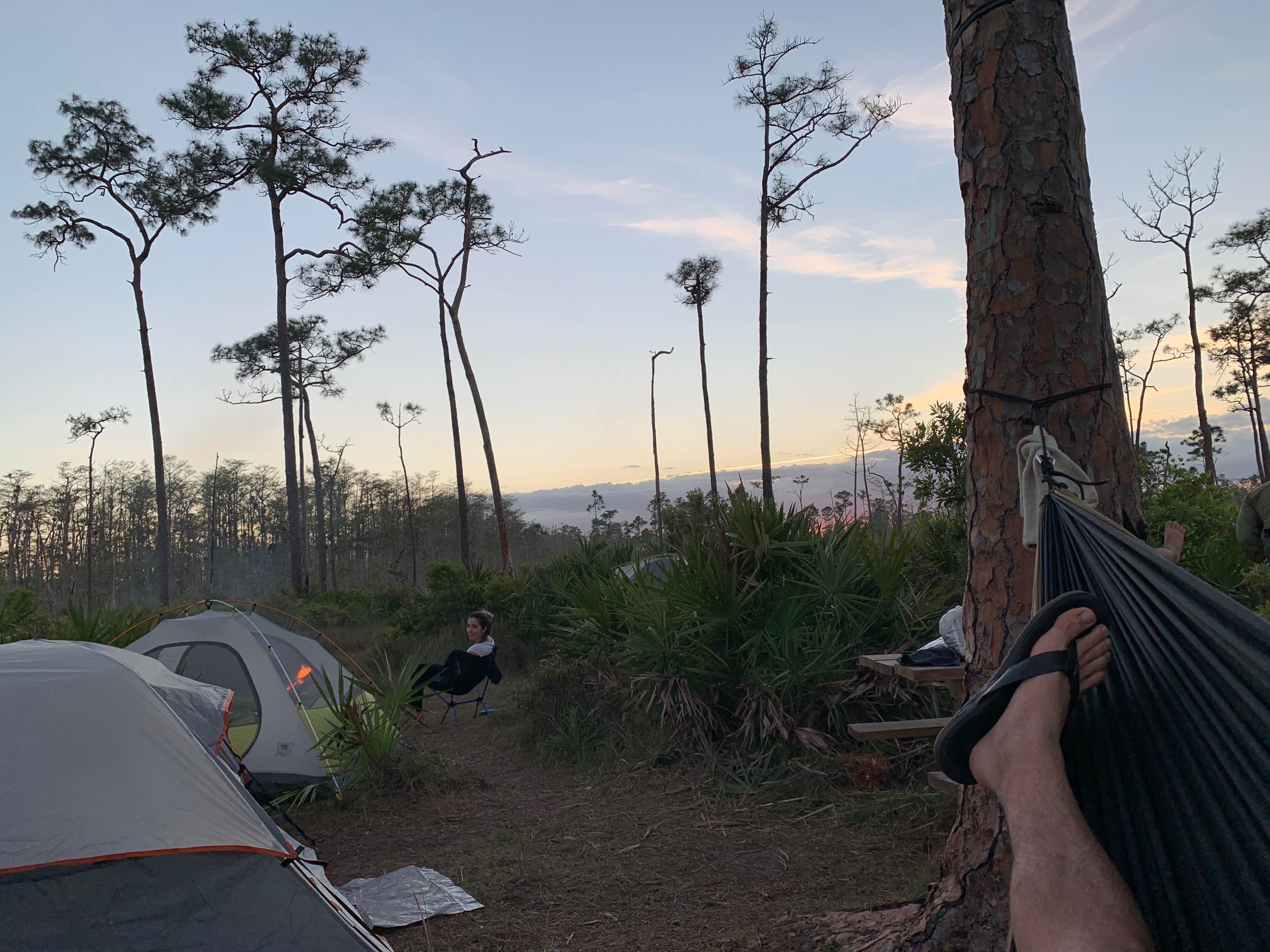 Nick C.'s photo of tent camping at Seven Mile Camp on the Florida Trail near Palmetto Bay, FL