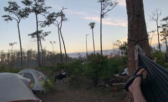 Nick C.'s photo at Seven Mile Camp on the Florida Trail near Miramar, FL