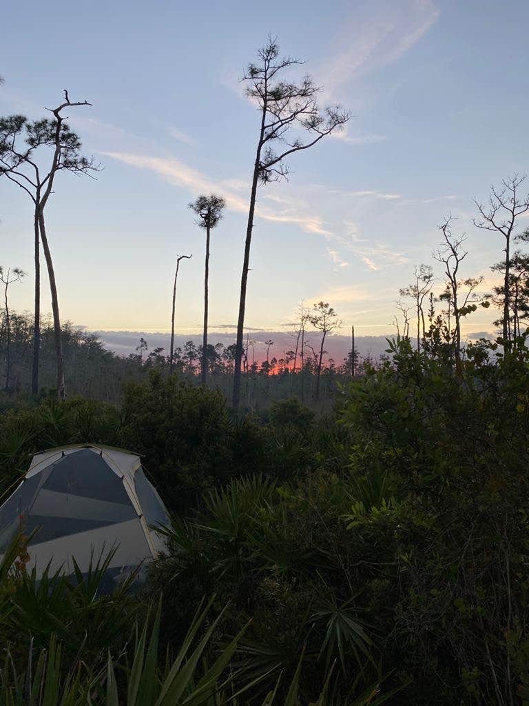 Camper-submitted photo at Seven Mile Camp on the Florida Trail near Davie, FL