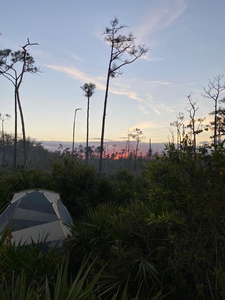 Camper submitted image from Seven Mile Camp on the Florida Trail - 4
