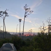 Review photo of Seven Mile Camp on the Florida Trail by Nick C., March 16, 2020