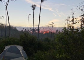 Seven Mile Camp on the Florida Trail