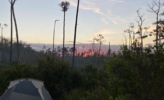 Camper-submitted photo from Seven Mile Camp on the Florida Trail