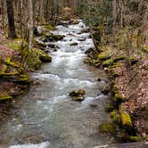 Review photo of Glade Creek Campground — New River Gorge National Park and Preserve by Gage W., March 16, 2020