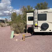 Review photo of Barstow-Calico KOA by Sven  M., March 16, 2020