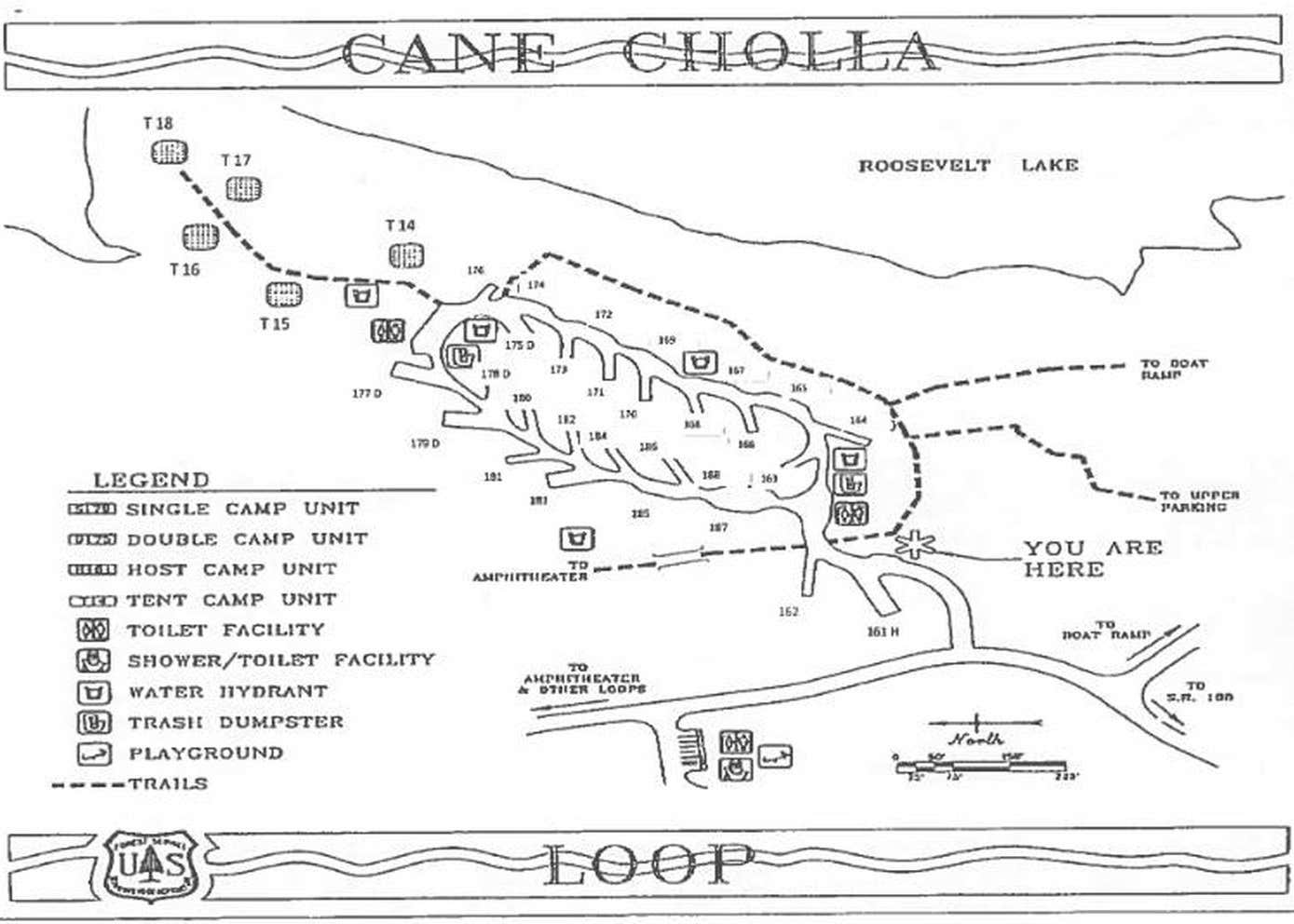 Cholla Campground Camping | The Dyrt