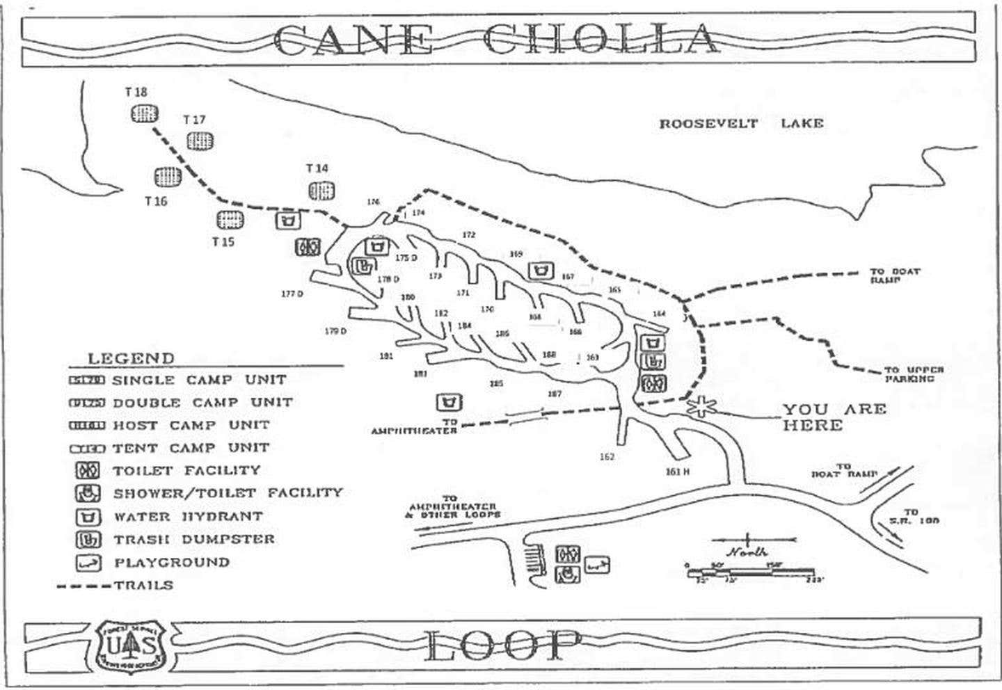 Cholla Campground | The Dyrt