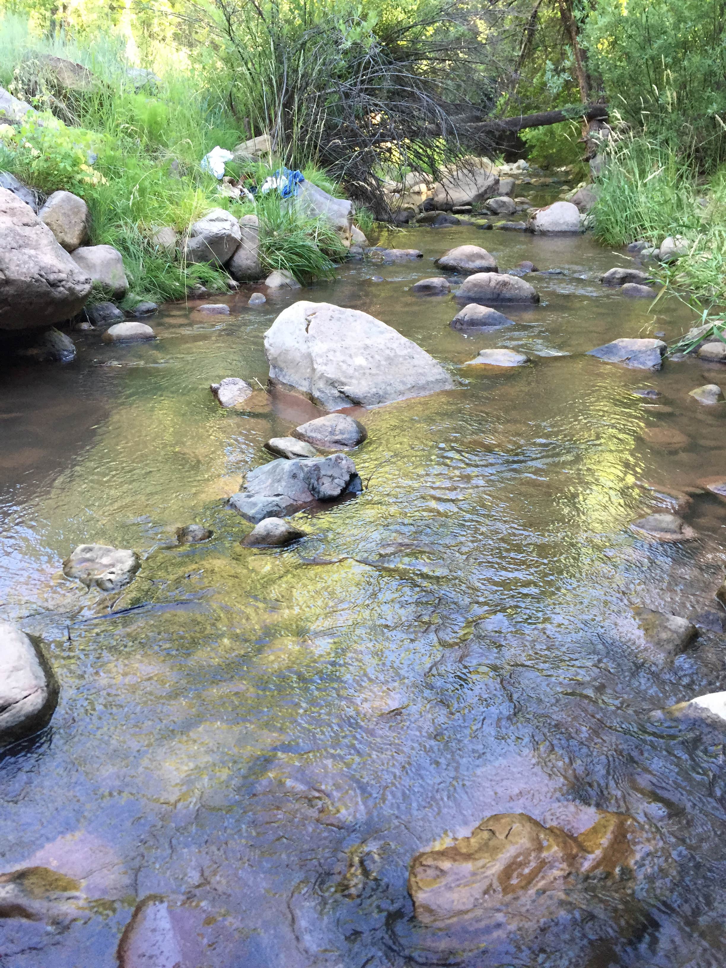 Camper submitted image from Lower Tonto Creek - 5