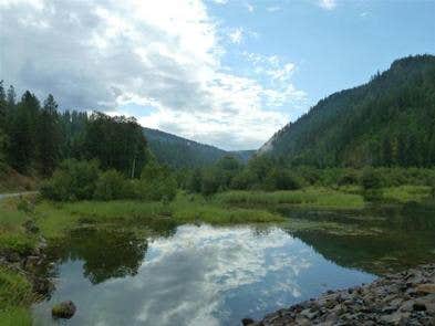 Escape to Idaho's Hidden Gem: Beauty Creek Campground