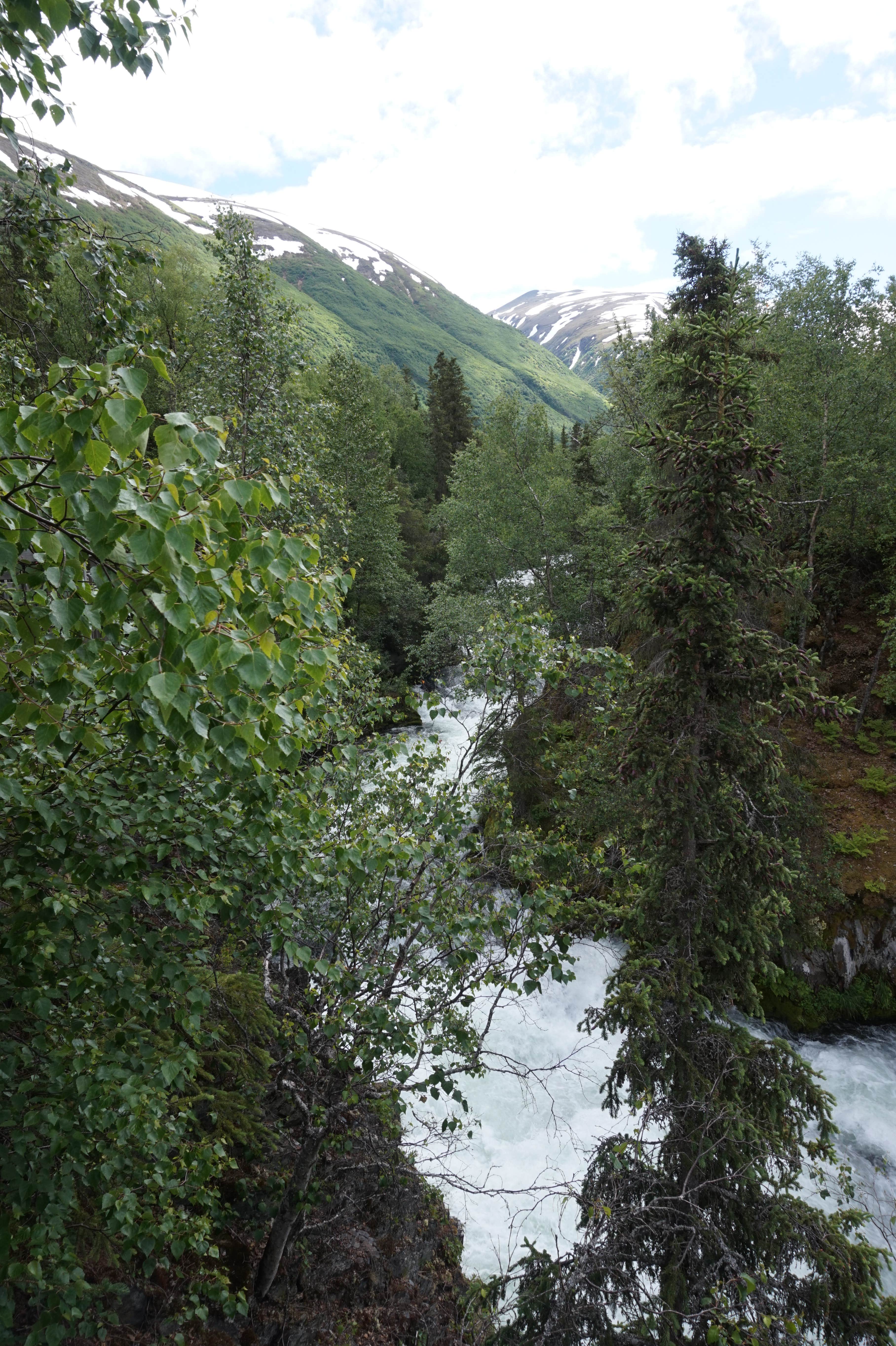 View All