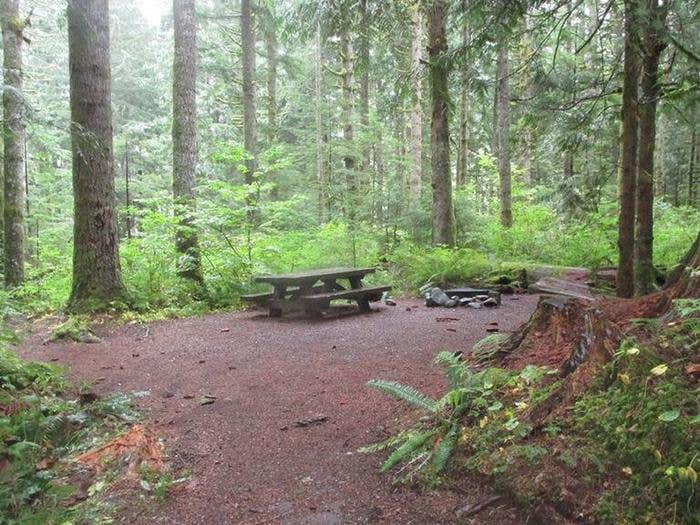 Camper submitted image from Tinkham Campground - 1