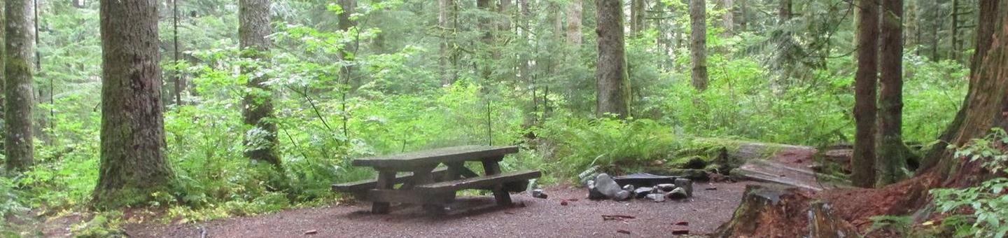 Camper submitted image from Tinkham Campground - 1