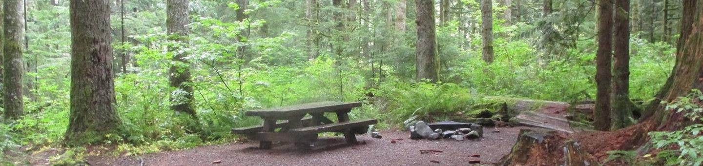 Tinkham Campground | Snoqualmie Pass, WA