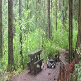 Public Campgrounds: Tinkham Campground