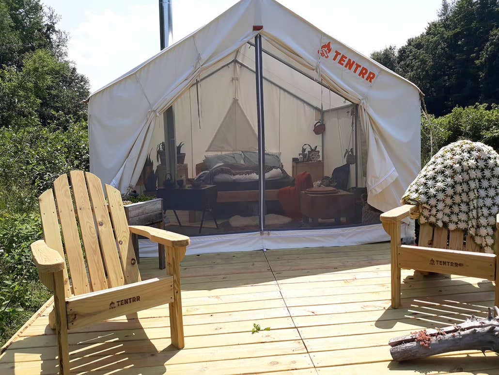 Camper submitted image from Moss Funnel Farms - 1