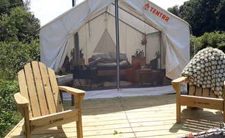 The Dyrt's photo of tent camping at Moss Funnel Farms near Scotts, MI