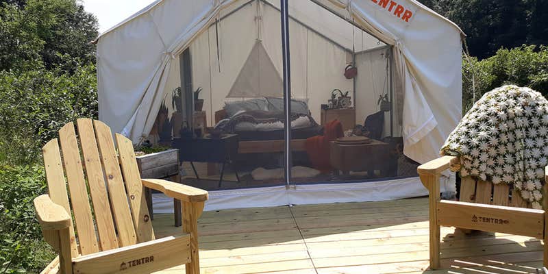 Camper submitted image from Moss Funnel Farms