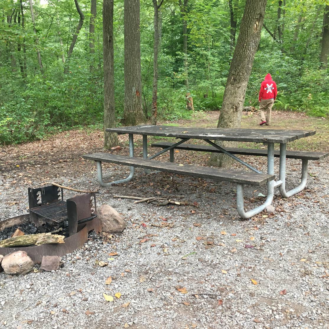 French Creek State Park Camping | The Dyrt