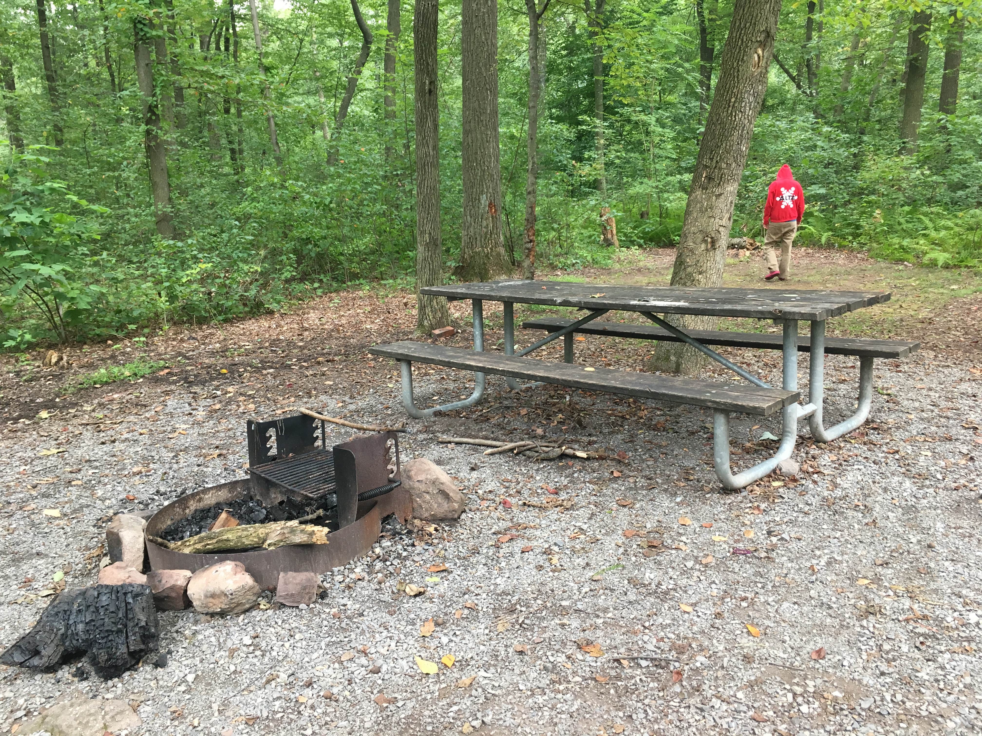 Camper submitted image from French Creek State Park Campground - 5