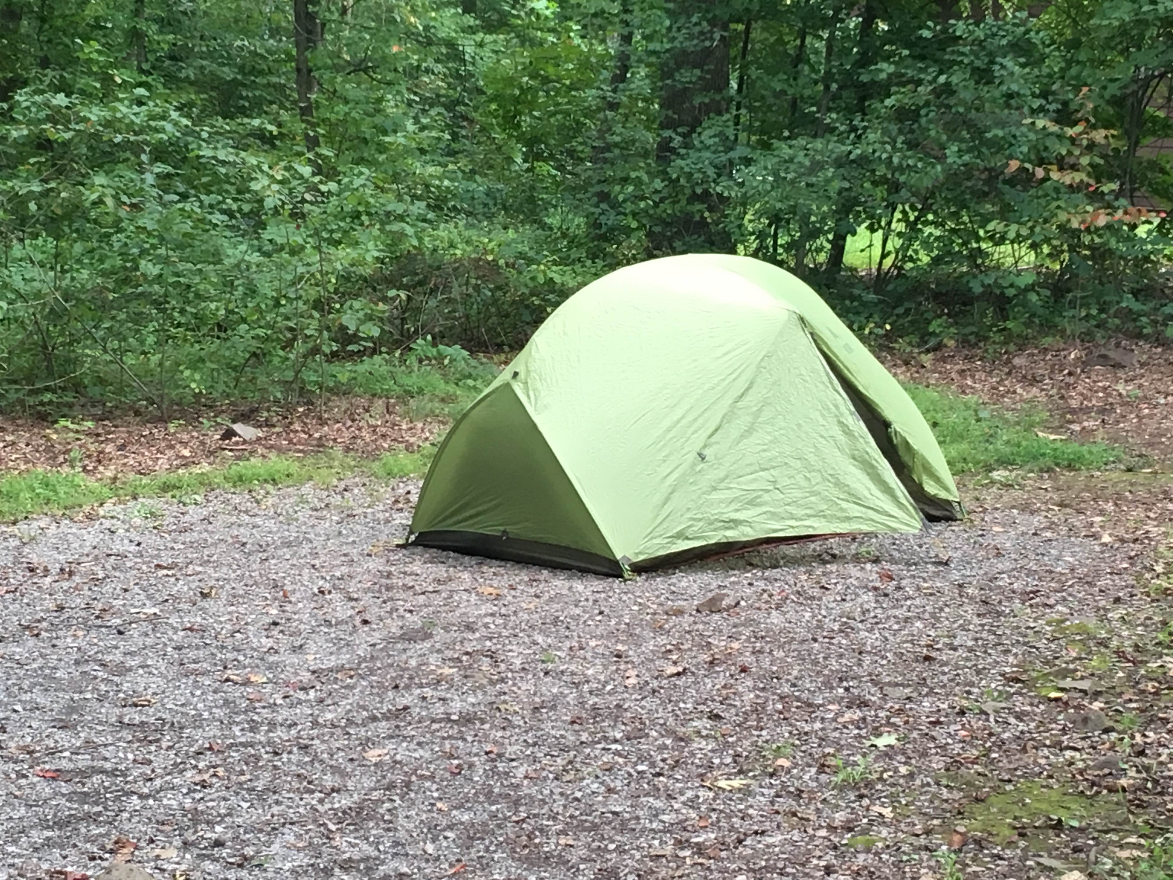 Sarah C.'s photo at French Creek State Park Campground near Douglassville, PA