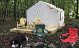 The Dyrt's photo at Camp Toasty Marshmallow near Sweet Valley, PA