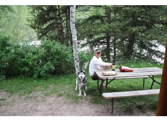 Camper submitted image from Jackson Hole/Snake River Park KOA - 5