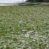 Review photo of French Creek State Park Campground by Sarah C., September 4, 2017