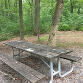 Review photo of French Creek State Park Campground by Sarah C., September 4, 2017