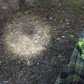 Review photo of French Creek State Park Campground by Sarah C., September 4, 2017