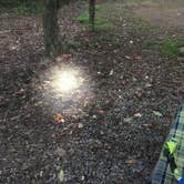 Review photo of French Creek State Park Campground by Sarah C., September 4, 2017