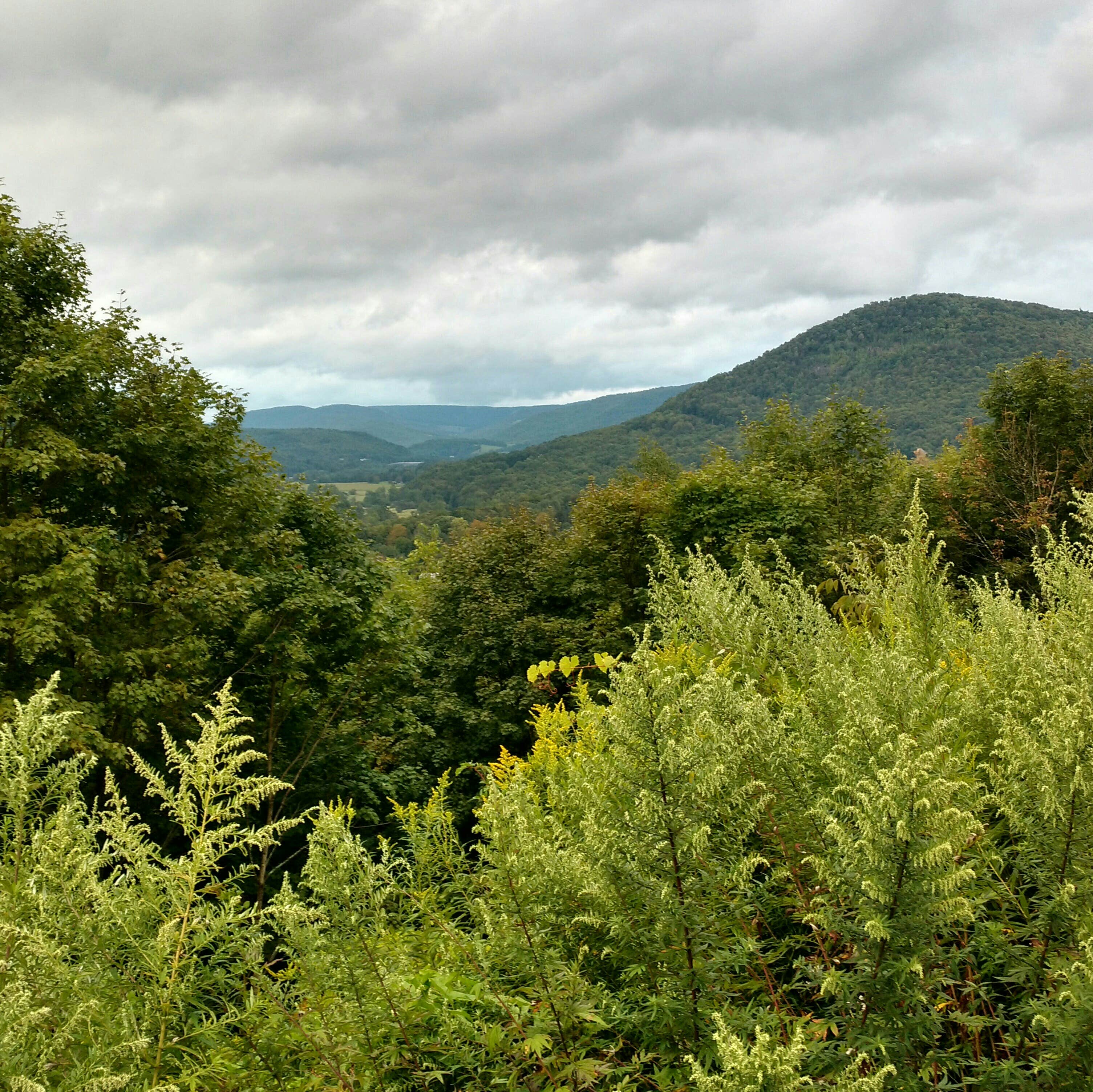 Nature