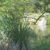 Review photo of North Area Primitive Site — Colorado Bend State Park by Brian V., September 4, 2017