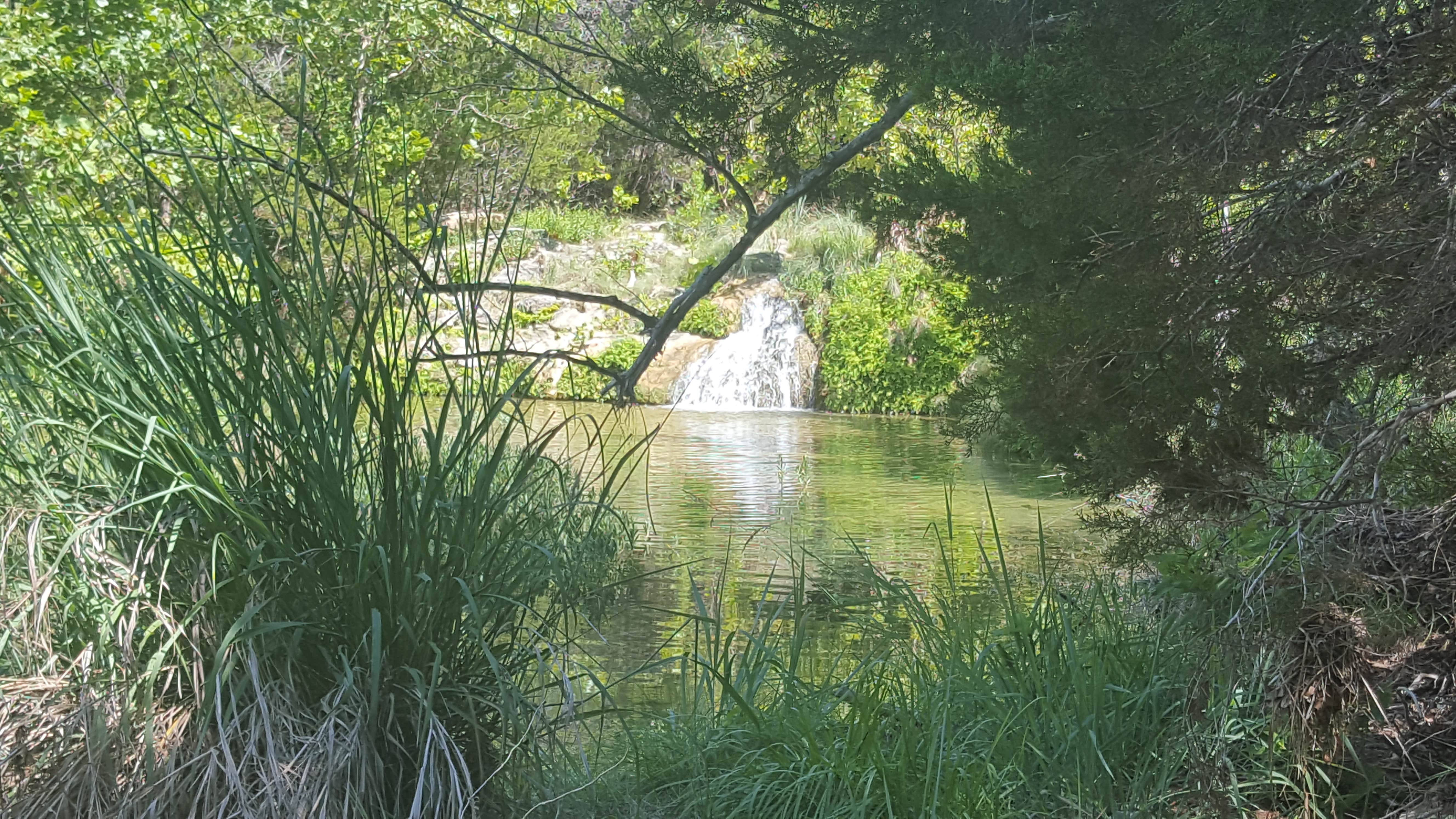 Camper submitted image from North Area Primitive Site — Colorado Bend State Park - 3