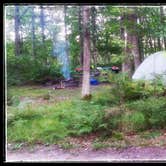 Review photo of Schoolcraft State Park Campground by Amy G., September 4, 2017