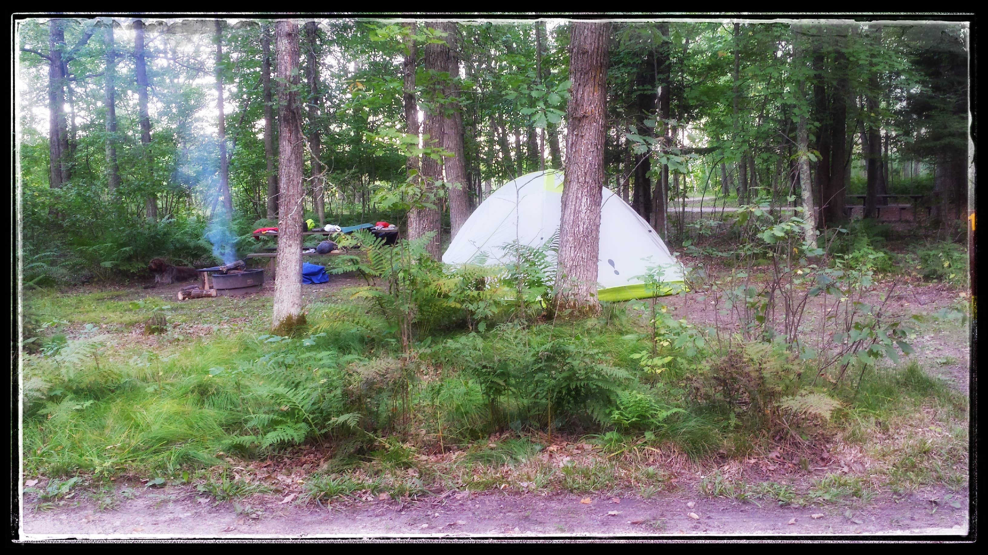 Camper submitted image from Schoolcraft State Park Campground - 2