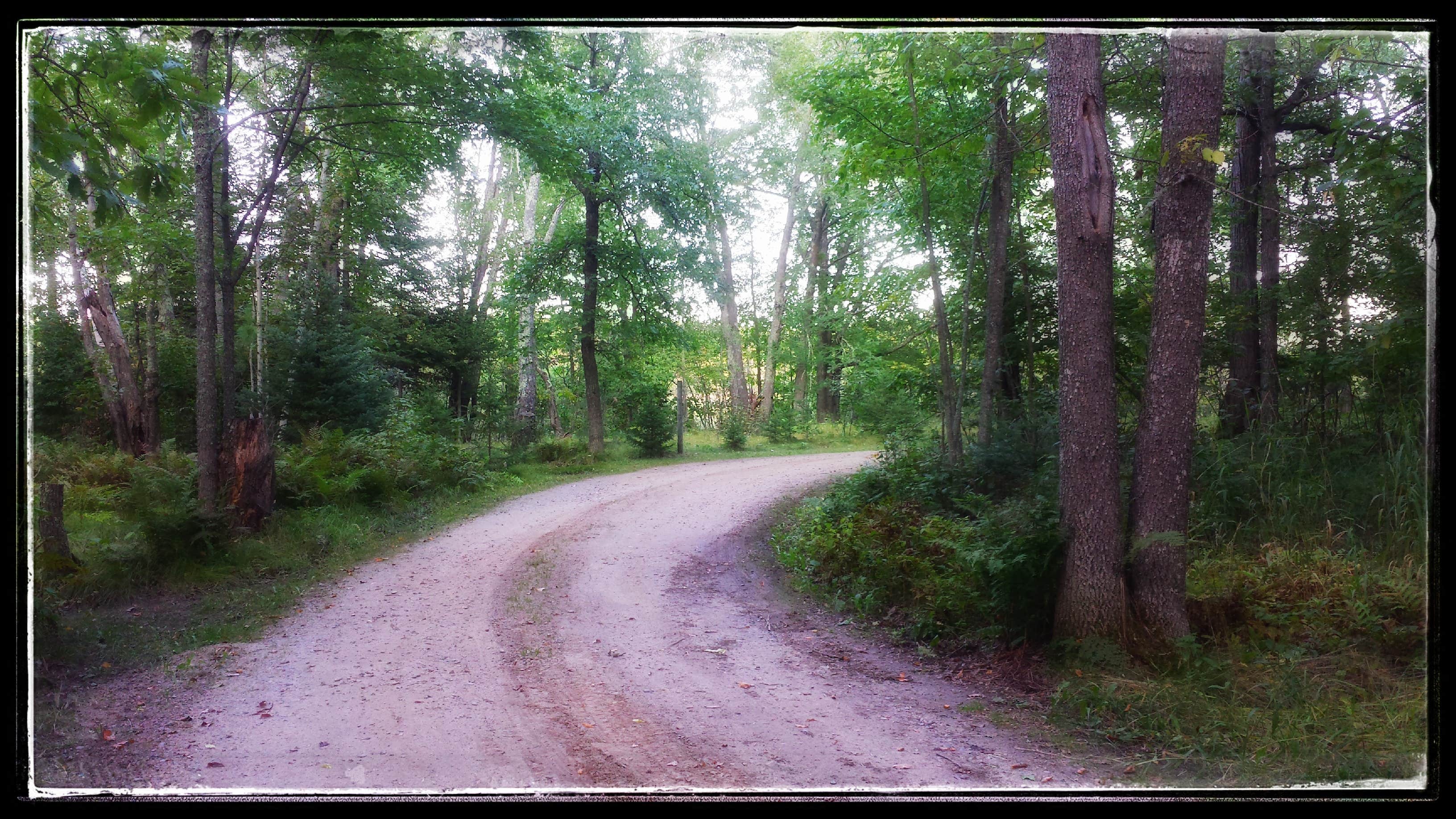 Camper submitted image from Schoolcraft State Park Campground - 5