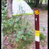 Review photo of Schoolcraft State Park Campground by Amy G., September 4, 2017