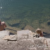 Review photo of Miramonte Reservoir by Melissa K., September 4, 2017