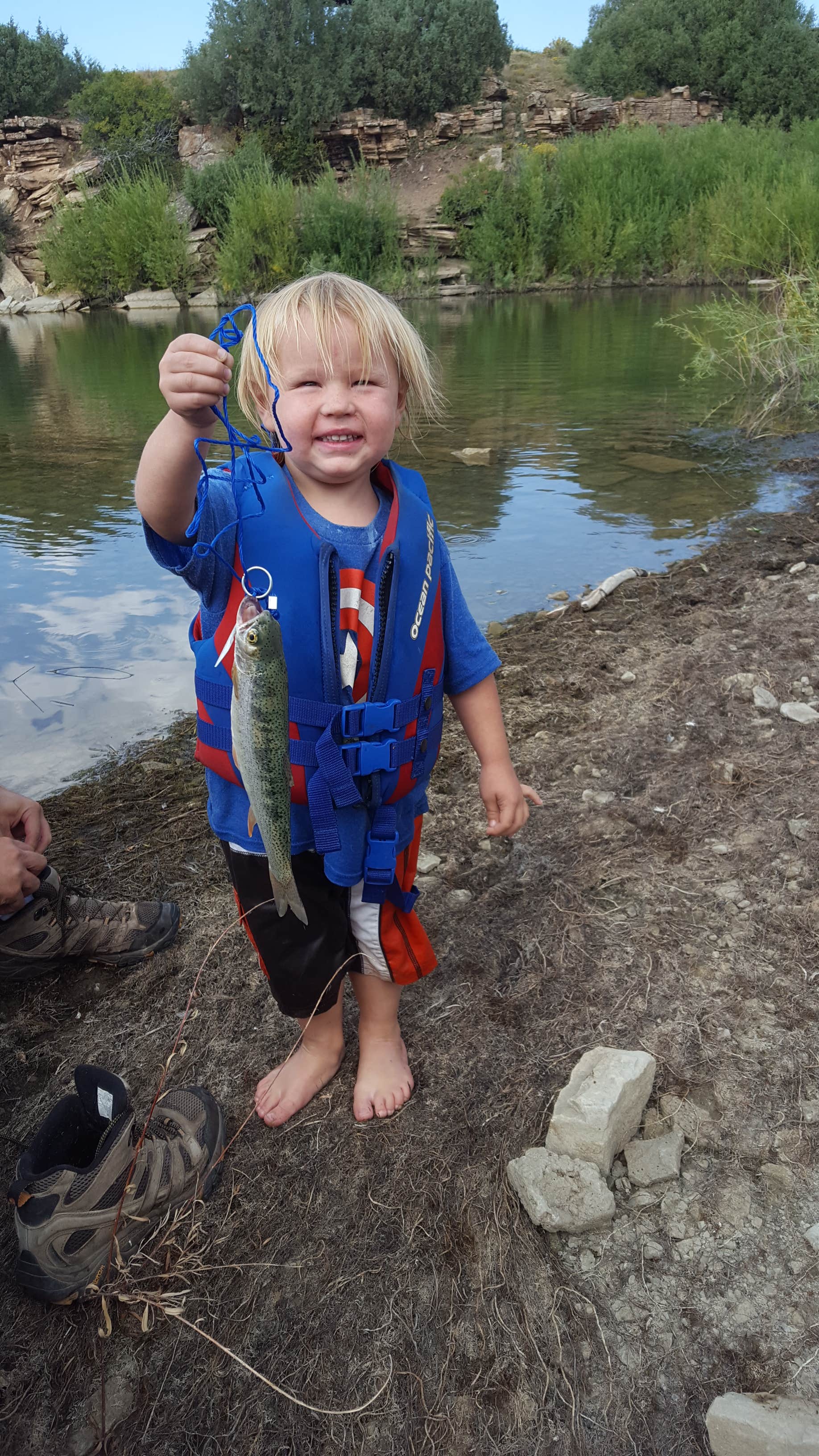 Camper submitted image from Miramonte Reservoir - 3