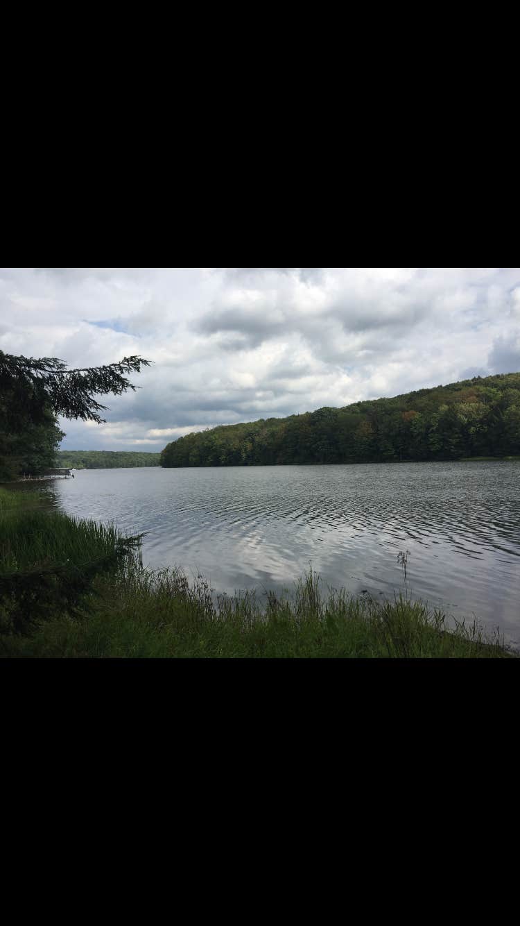 Crooked Run Campground — Prince Gallitzin State Park Patton, PA