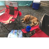 Review photo of Crooked Run Campground — Prince Gallitzin State Park by Jay B., September 5, 2017