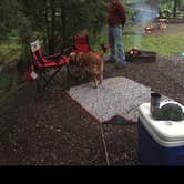 Review photo of Crooked Run Campground — Prince Gallitzin State Park by Jay B., September 5, 2017