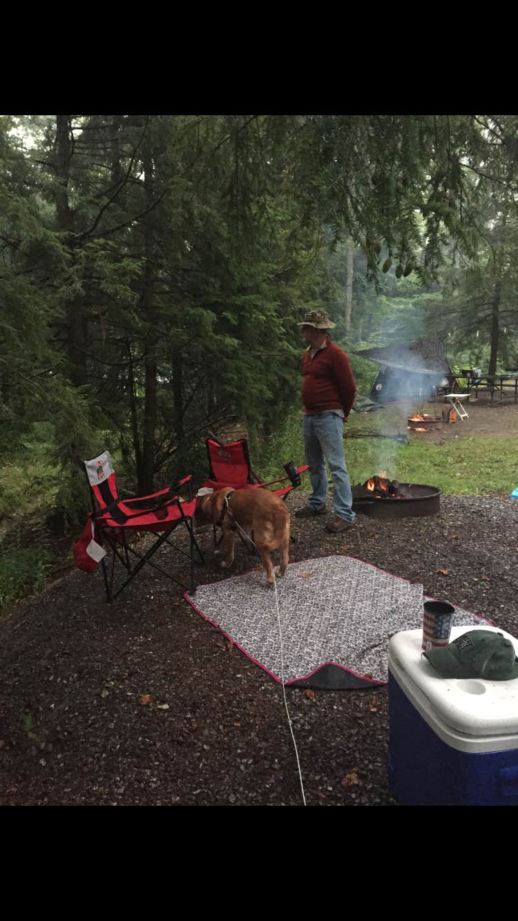Camper submitted image from Crooked Run Campground — Prince Gallitzin State Park - 3