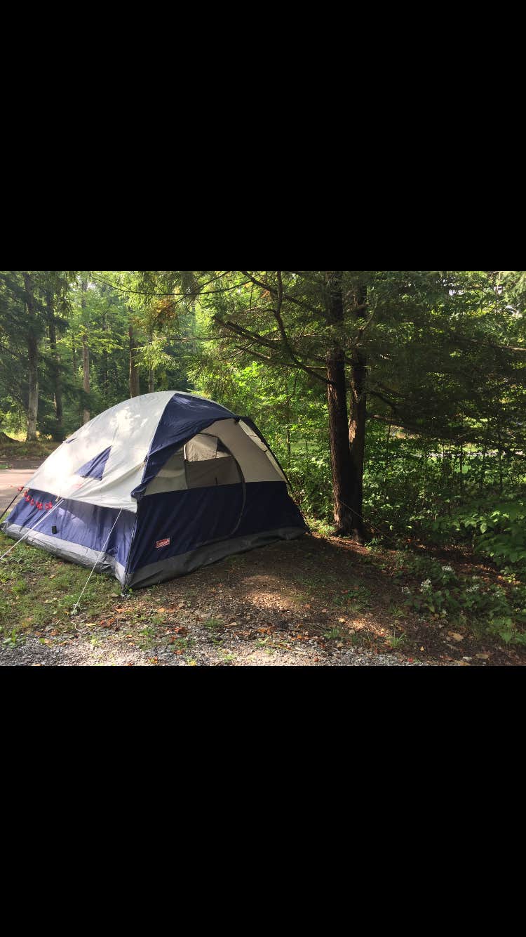 Camper submitted image from Crooked Run Campground — Prince Gallitzin State Park - 4