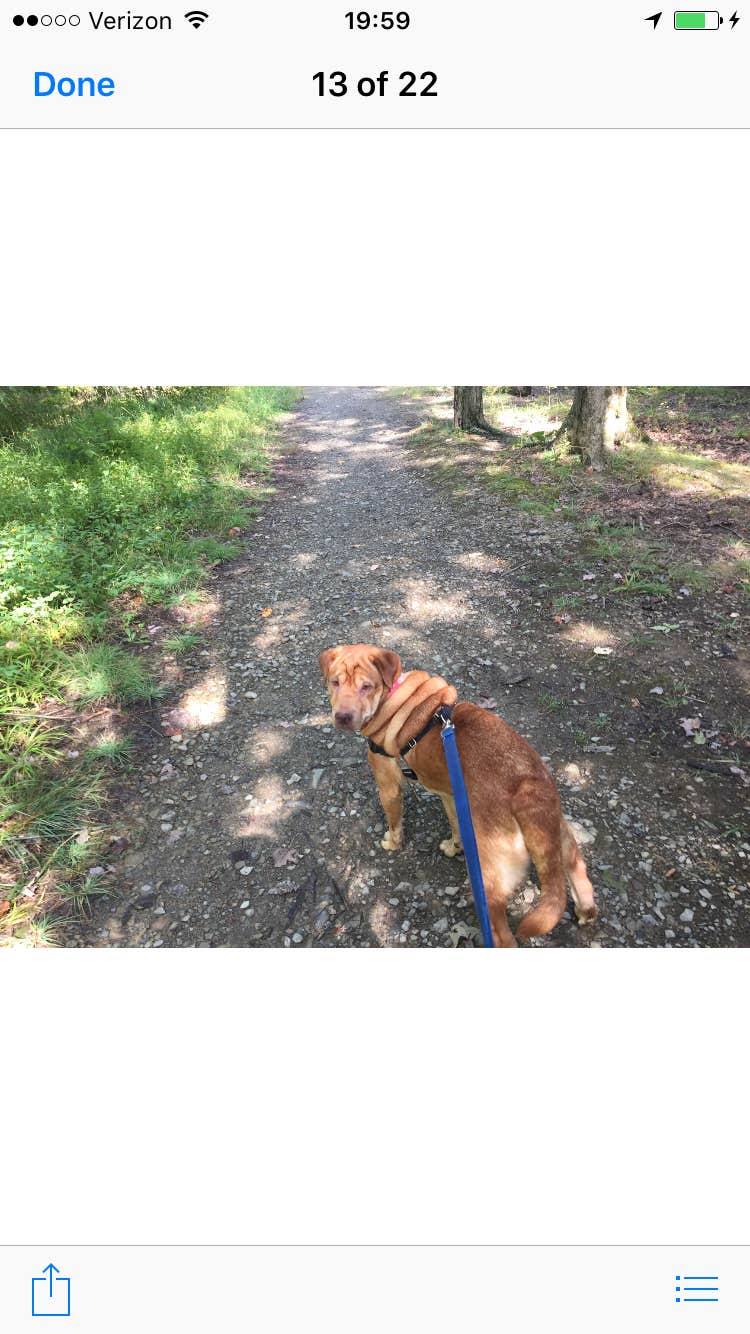 Jay B.'s photo of camping with pets at Crooked Run Campground — Prince Gallitzin State Park near Entriken, PA