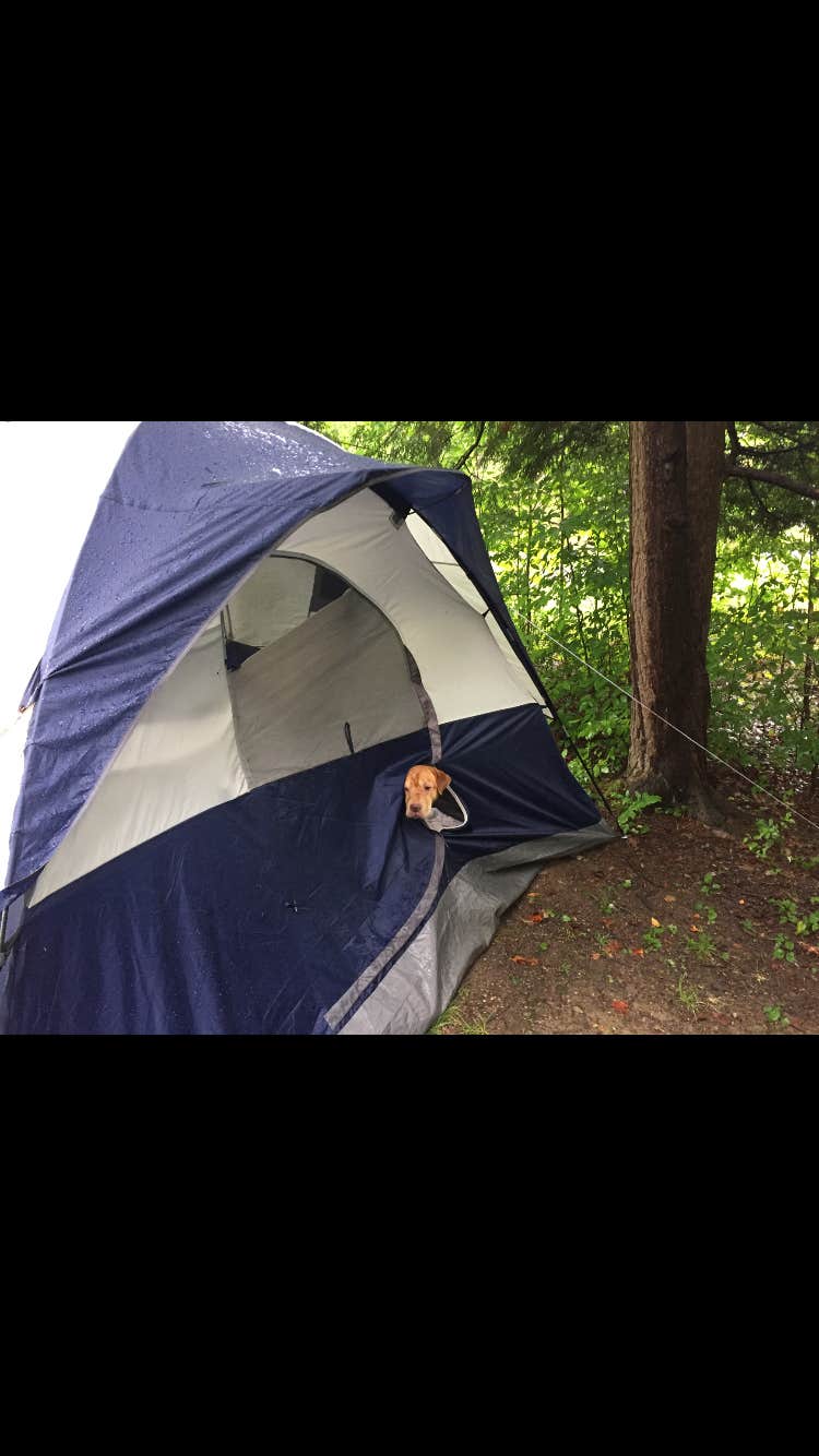 Jay B.'s photo at Crooked Run Campground — Prince Gallitzin State Park near Hollidaysburg, PA